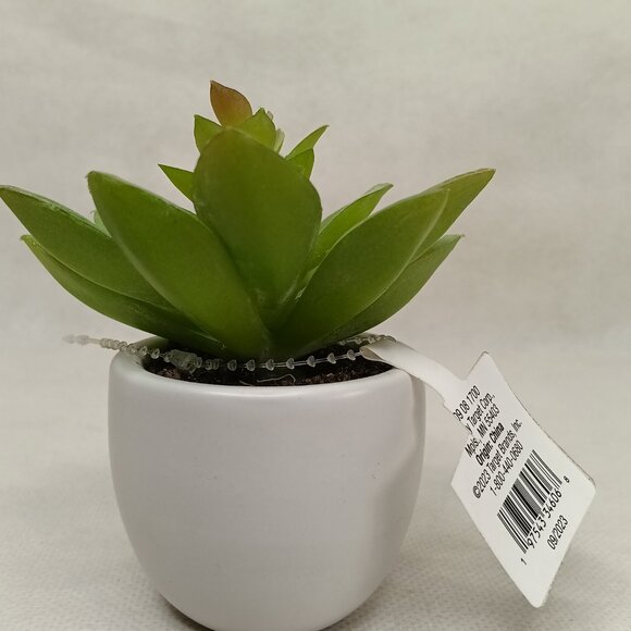 3.5 '' Mini Tabletop Succulent Artificial Plant - Threshold, new - Picture 7 of 8
